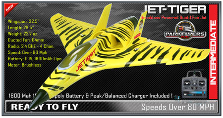 Jet Tiger RTF Plane